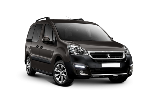 Peugeot Partner Tepee Combi brown