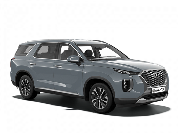 Hyundai Palisade 2018 Lagoon Silver