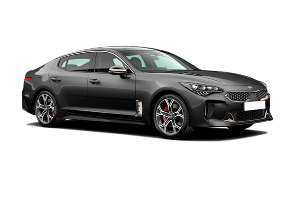 Kia Stinger 2020 Pantera metal (p2m)